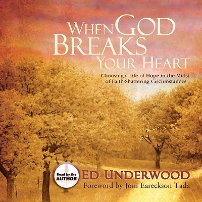 When God Breaks Your Heart: Choosing Hope the Midst of Faith-Shattering Circumstances