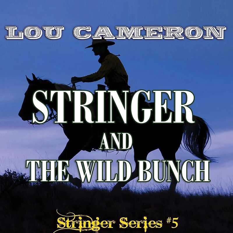 Stringer and the Wild Bunch