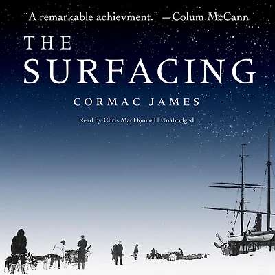 The Surfacing