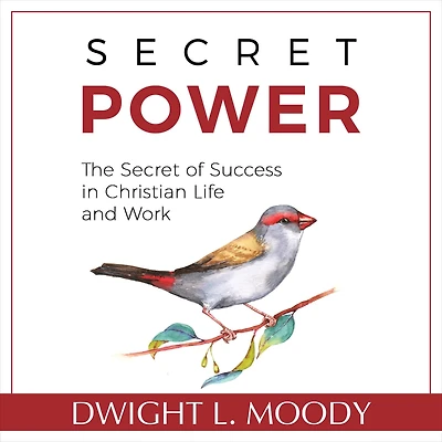 The Secret power: of Success Christian Life and Work