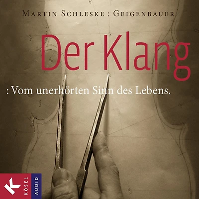 Der Klang: Vom unerhörten Sinn des Lebens