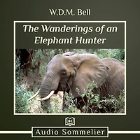 The Wanderings of an Elephant Hunter