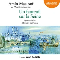 Un fauteuil sur la Seine: Quatre siècles d'histoire de France