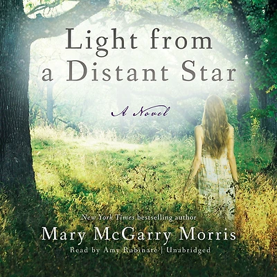 Light from A Distant Star: Novel
