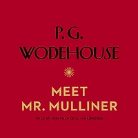 Meet Mr Mulliner