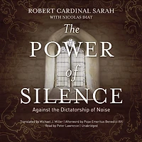 the Power of Silence: Against Dictatorship Noise