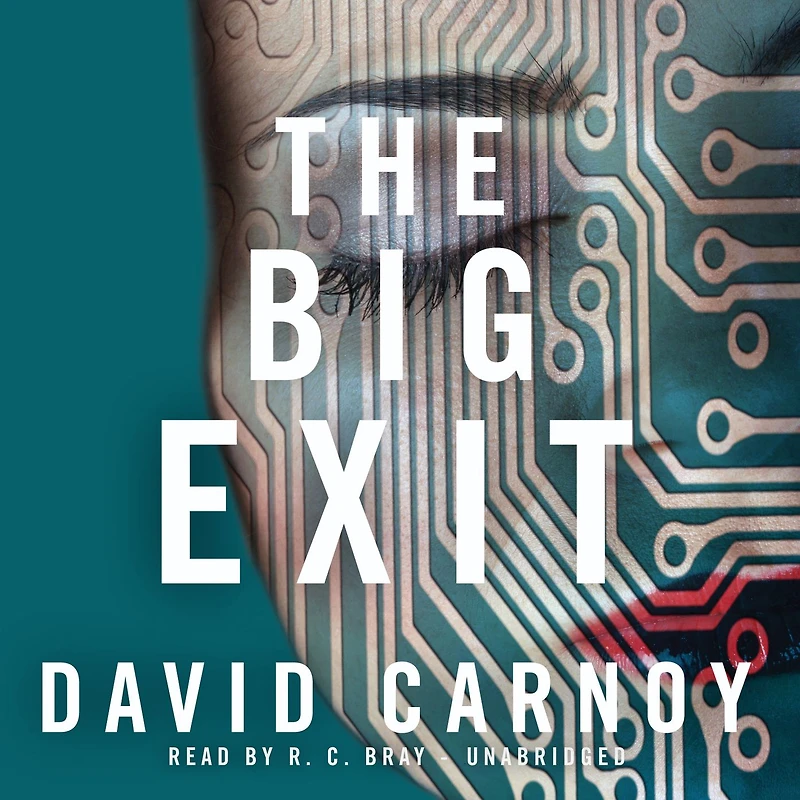 The Big Exit: A Novel
