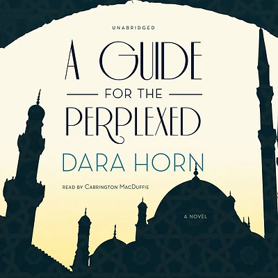 A Guide for the Perplexed: Novel