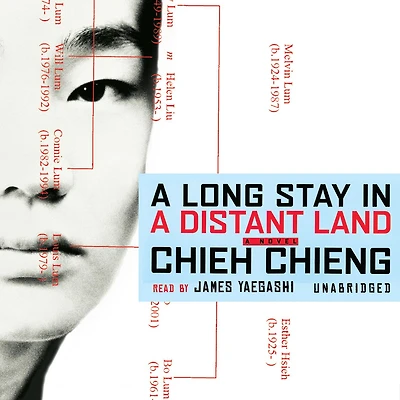 A Long Stay Distant Land: Novel