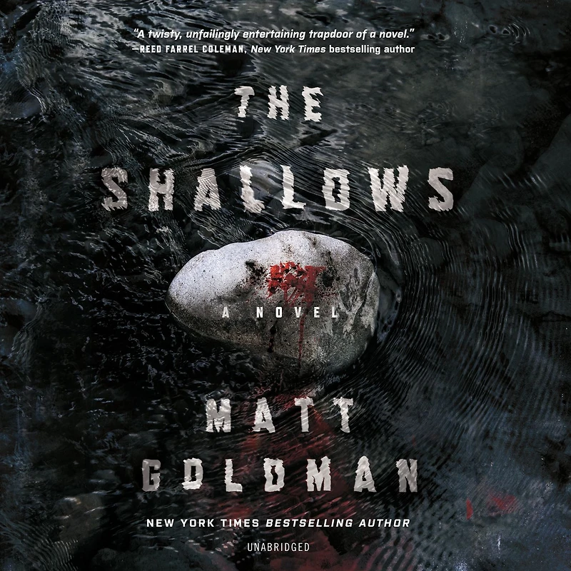 The Shallows (Nils Shapiro Series #3)