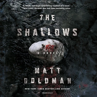 The Shallows (Nils Shapiro Series #3)