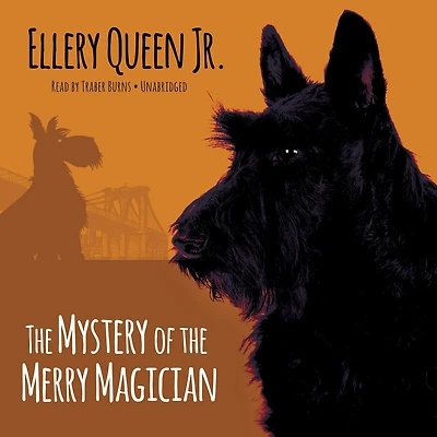 the Mystery of Merry Magician