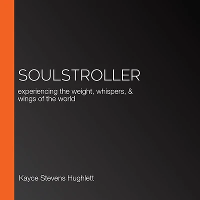 SoulStroller: experiencing the weight, whispers, & wings of world