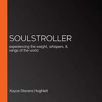 SoulStroller: experiencing the weight, whispers, & wings of world