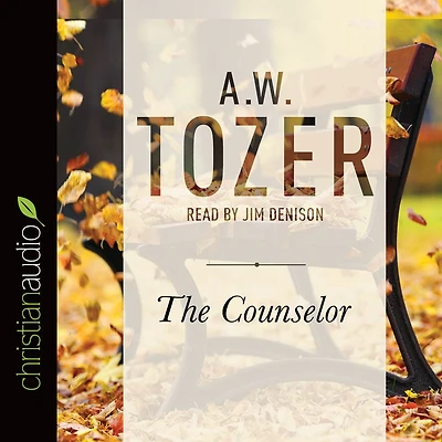 the Counselor: Straight Talk About Holy Spirit