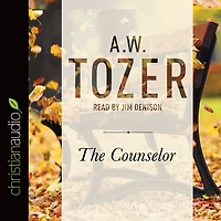 the Counselor: Straight Talk About Holy Spirit