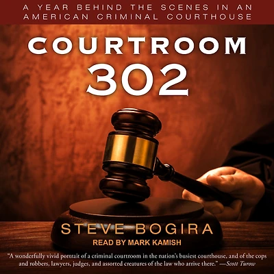 Courtroom 302: A Year Behind the Scenes an American Criminal Courthouse