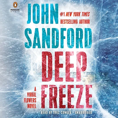 Deep Freeze (Virgil Flowers Series #10)