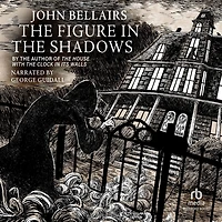 the Figure Shadows