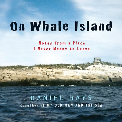 On Whale Island: Notes From a Place I Never Meant to Leave