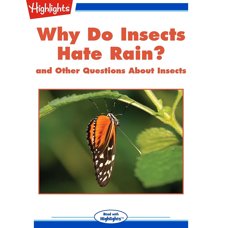Why Do Insects Hate Rain?: and Other Questions About Insects
