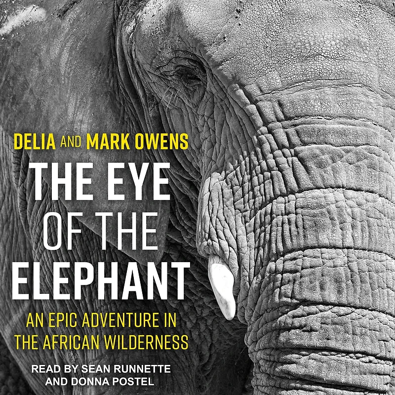 the Eye of Elephant: An Epic Adventure African Wilderness