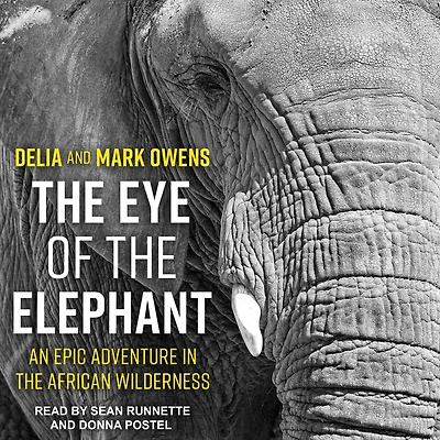 the Eye of Elephant: An Epic Adventure African Wilderness