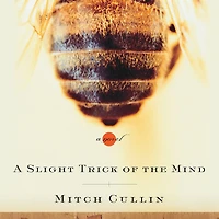 A Slight Trick of the Mind