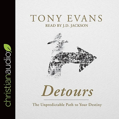 Detours: The Unpredictable Path to Your Destiny