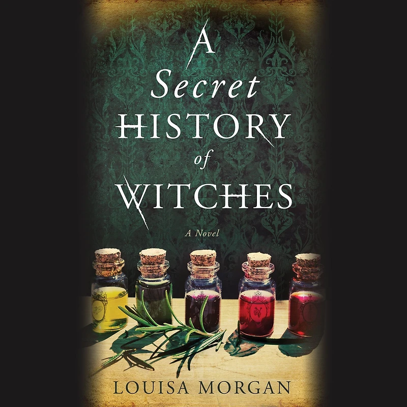 A Secret History of Witches: Novel