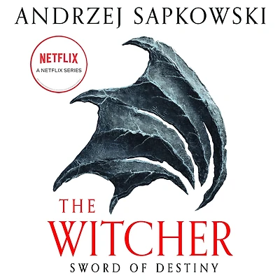 Sword of Destiny (Witcher Series)