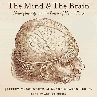 the Mind and Brain: Neuroplasticity Power of Mental Force