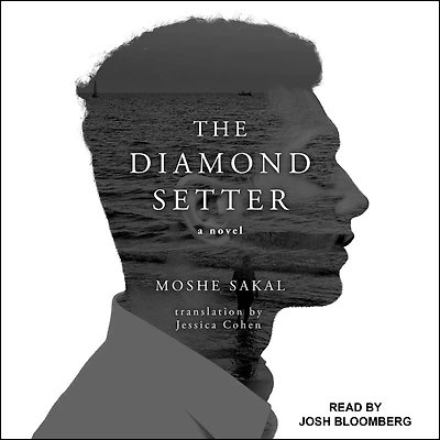 The Diamond Setter: A Novel