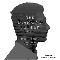 The Diamond Setter: A Novel