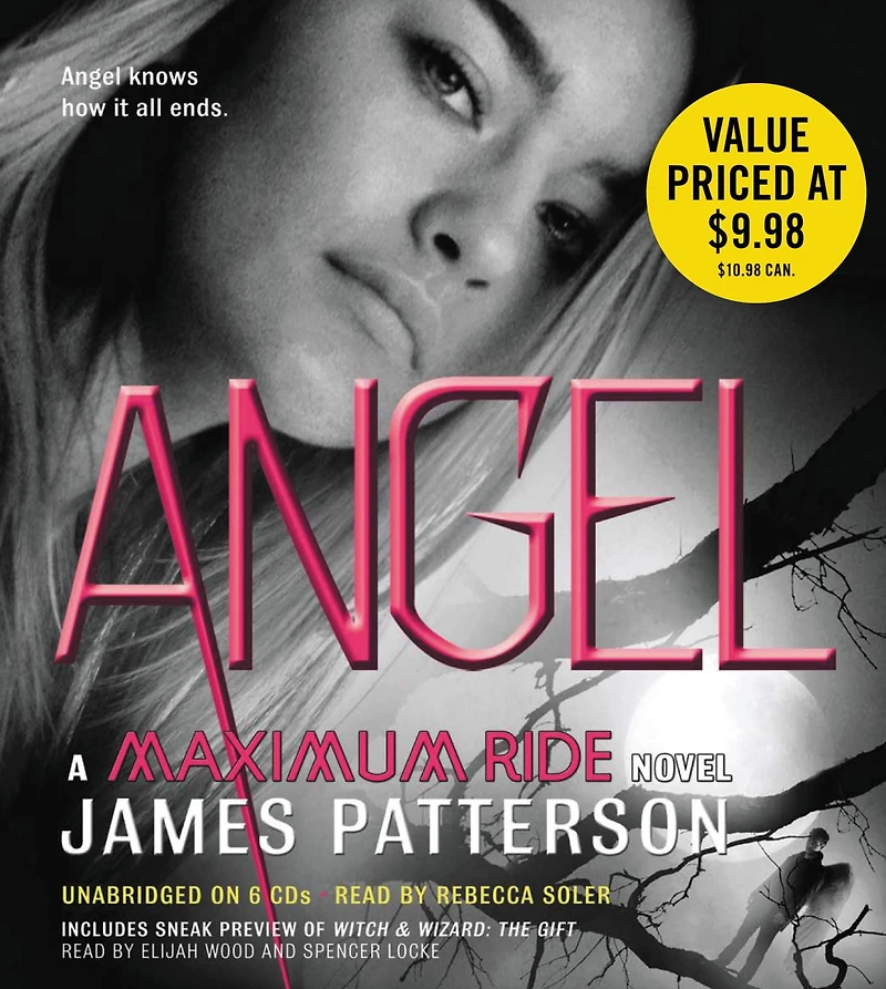 Angel (Maximum Ride Series #7)