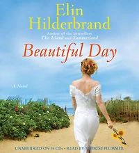 Beautiful Day: A Novel