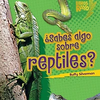 ¿Sabes algo sobre reptiles? (Do You Know about Reptiles?)