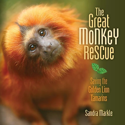 the Great Monkey Rescue: Saving Golden Lion Tamarins