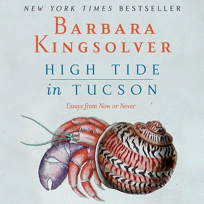 High Tide Tucson: Essays from Now or Never