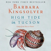 High Tide Tucson: Essays from Now or Never