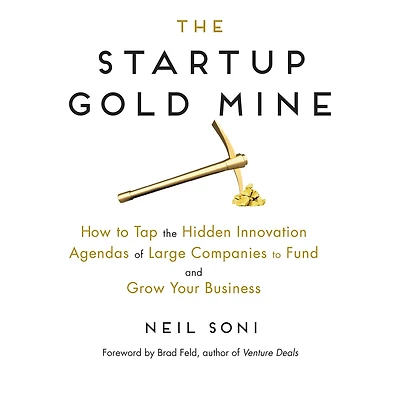 the Startup Gold Mine: How to Tap Hidden Innovation Agendas of Large Companies Fund and Grow Your Business