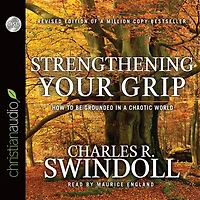 Strengthening Your Grip: How to Be Grounded a Chaotic World