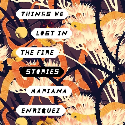 Things We Lost the Fire