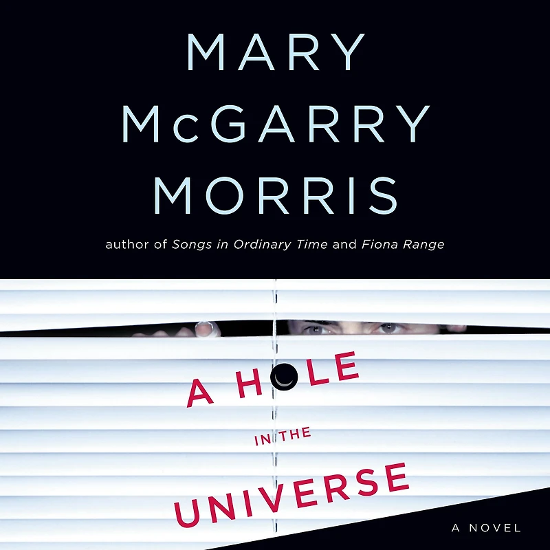 A Hole the Universe (Abridged)