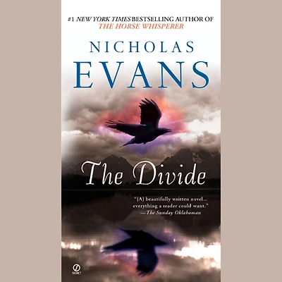 The Divide