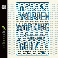 the Wonder-Working God: Seeing Glory of Jesus His Miracles