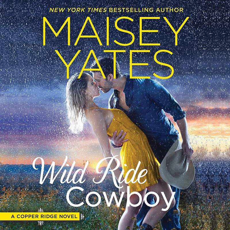 Wild Ride Cowboy (Copper Ridge: The Donnellys Series #3)
