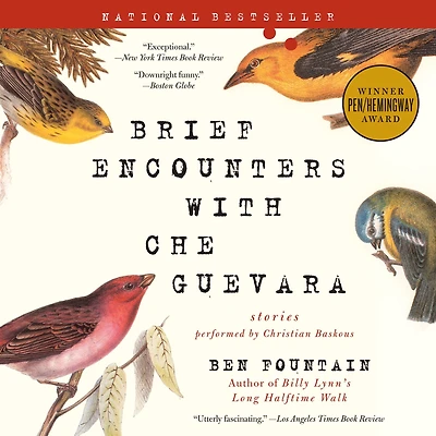 Brief Encounters with Che Guevara: Stories