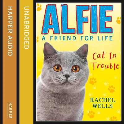 Alfie Cat Trouble