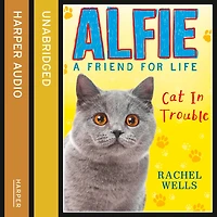 Alfie Cat Trouble